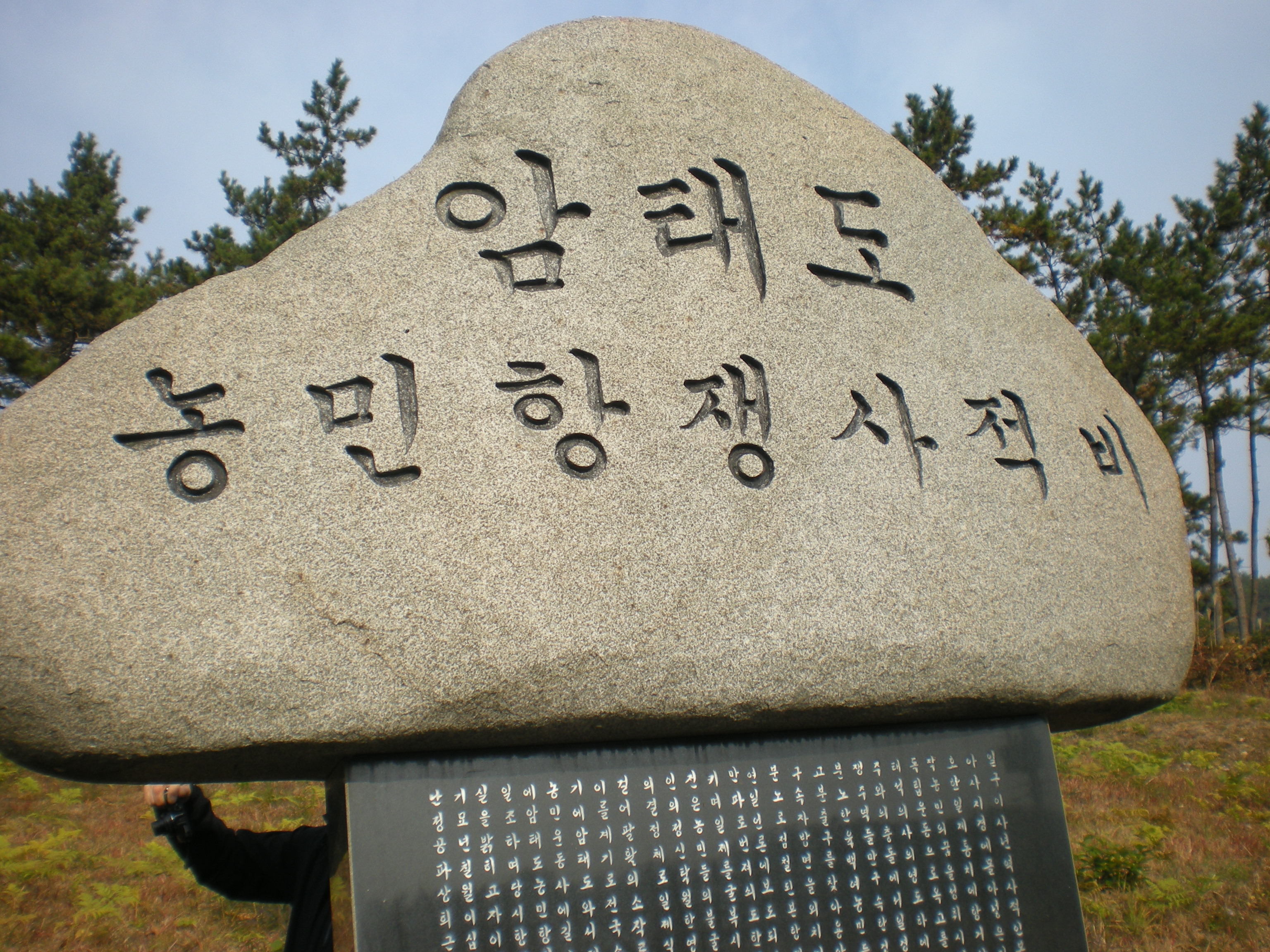 DSCN3029.JPG